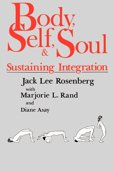 Body, Self, and Soul: Sustaining Integration Book Cover photo