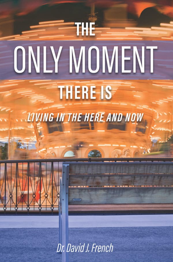 The Only Moment There Is book cover