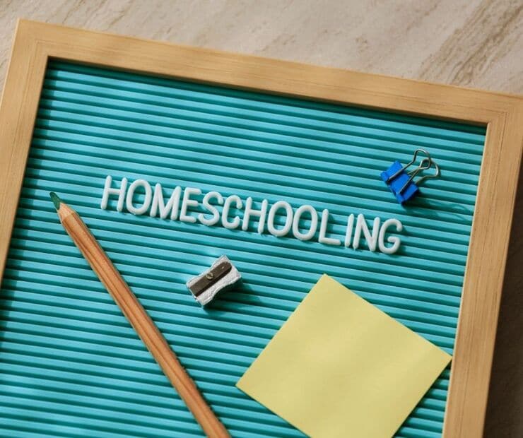 Homeschooling photo